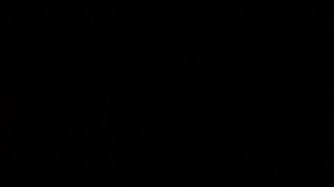 herkimer95 online show from 01-05-25, 11:01