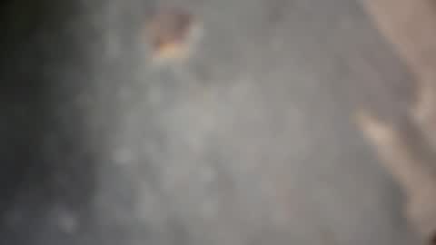 herletigre12345 online show from 10-18-25, 05:32