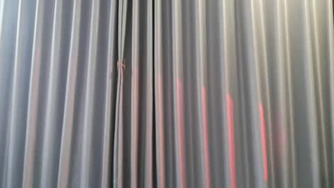 Snapshot of hersheys_aran chatting on 12-03-25, 08:00 Aran online show from 12-03-25, 08:00