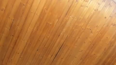 Noraly  online show from 02-04-25, 11:05