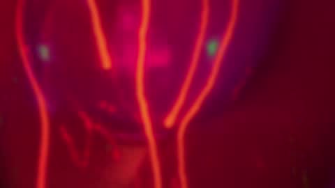 Alina online show from 12-14-24, 07:25