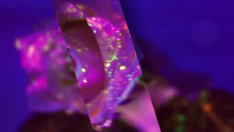 Alina online show from 01-19-25, 07:26