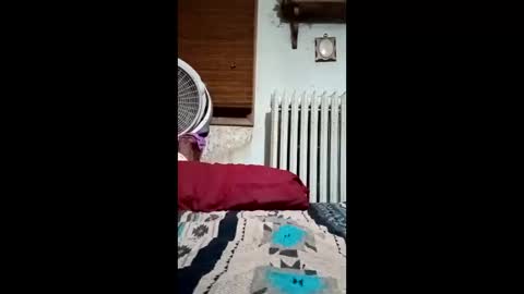 Snapshot of heythatguy2589 chatting on 03-21-26, 09:36 heythatguy2589 online show from 03-21-26, 09:36