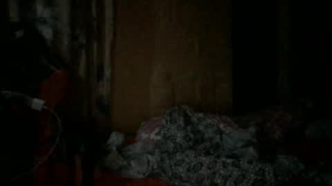 Miss Trixie online show from 10-26-25, 11:53
