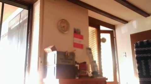 hofnung online show from 05-23-26, 05:28