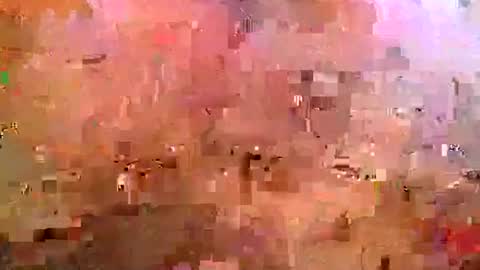 midwestchamp online show from 04-25-26, 10:51