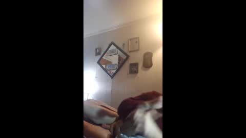 Snapshot of hoglegg99384194 chatting on 04-27-26, 04:32 hoglegg99384194 online show from 04-27-26, 04:32