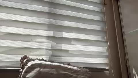 holly_wyn online show from 03-14-26, 01:55