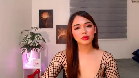 hollywoodstareme online show from 07-11-26, 08:44