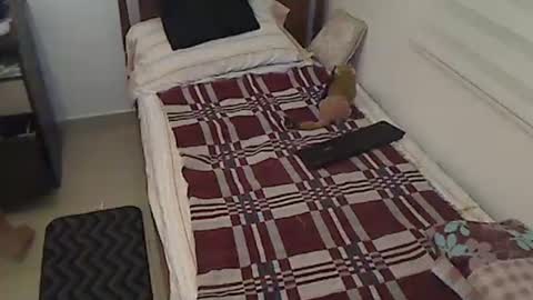 Holofernes45gil online show from 04-03-26, 07:17