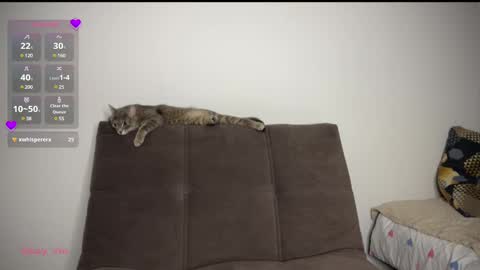 Vio online show from 03-01-25, 08:21