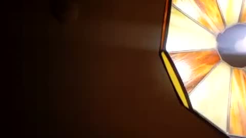 honeybear2026 online show from 07-28-26, 07:37