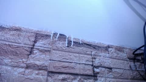 Victoria online show from 04-04-26, 08:34