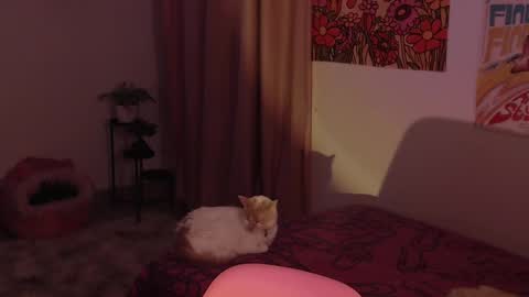 Snapshot of honeyypeaach chatting on 12-18-24, 11:30    online show from 12-18-24, 11:30