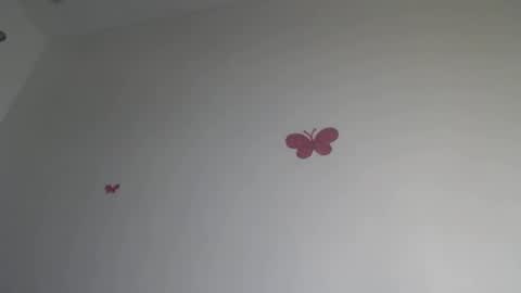 Iris online show from 01-15-26, 07:28