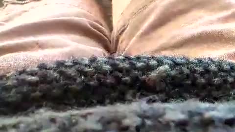 Snapshot of hornyallthetime6969696969 chatting on 01-18-26, 02:43 Tiny cock online show from 01-18-26, 02:43