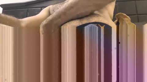 hornyboy_01z online show from 09-11-25, 07:03