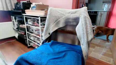Snapshot of hornypenis127 chatting on 06-06-26, 09:14 hornypenis127 online show from 06-06-26, 09:14