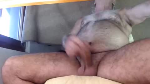 Snapshot of hornyswissman chatting on 09-08-25, 05:01 hornyswissman online show from 09-08-25, 05:01