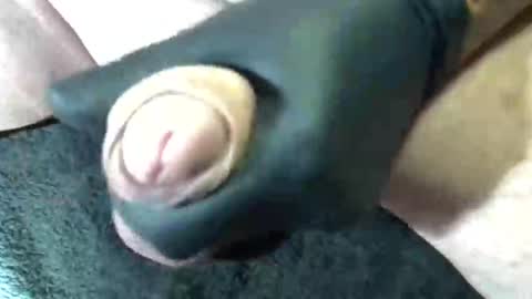 Snapshot of horse_dick9 chatting on 09-11-25, 11:43 horse_dick9 online show from 09-11-25, 11:43