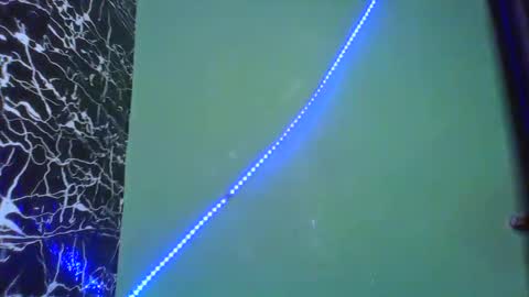 Snapshot of hot_stellaa chatting on 02-14-25, 08:52 Stella online show from 02-14-25, 08:52