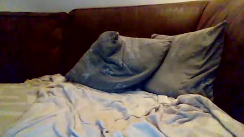 Snapshot of hotboy381 chatting on 03-08-25, 05:43 hotboy381 online show from 03-08-25, 05:43