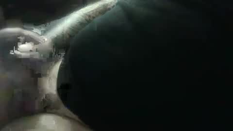 Snapshot of hotcream259 chatting on 01-09-25, 03:04 hotcream259 online show from 01-09-25, 03:04