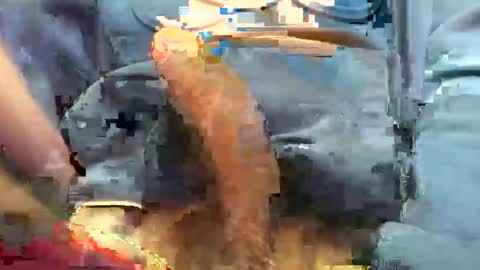 Snapshot of hotdick4200 chatting on 11-19-25, 06:24 hotdick4200 online show from 11-19-25, 06:24