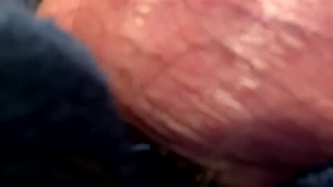 Snapshot of hotdog1124 chatting on 01-06-25, 01:09 hotdog1124 online show from 01-06-25, 01:09