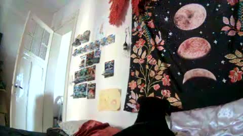 Snapshot of hotdutchd chatting on 07-28-26, 04:27 Marv online show from 07-28-26, 04:27