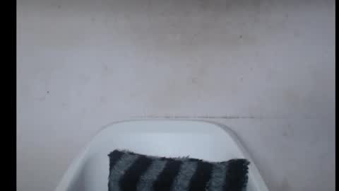 hotjessie0 online show from 09-26-25, 05:44