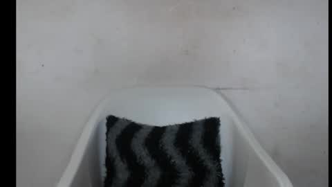 hotjessie0 online show from 10-03-25, 09:06