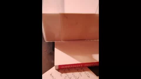 Snapshot of hotlux_54 chatting on 07-18-26, 11:30 hotlux_54 online show from 07-18-26, 11:30