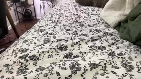 Snapshot of hotmama6666 chatting on 02-04-26, 12:05 Annabelle online show from 02-04-26, 12:05