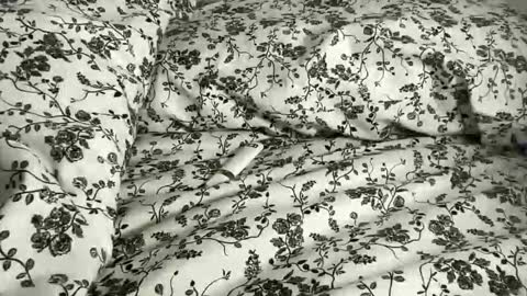 Annabelle online show from 04-21-26, 10:01