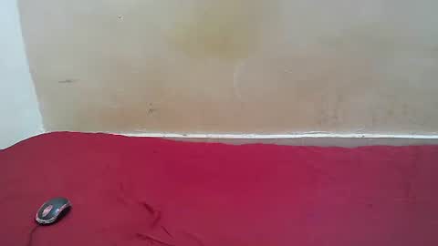 hotpussy1225 online show from 11-10-25, 08:13