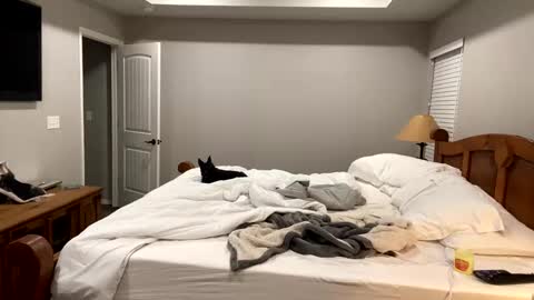 hottiewithabody101 online show from 11-11-25, 06:30