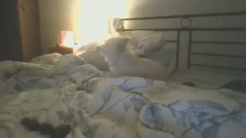 Snapshot of hottnready4u chatting on 01-05-25, 01:26 Hottnready4u online show from 01-05-25, 01:26