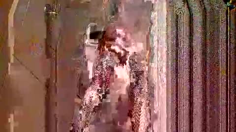 houndmefromhell online show from 12-05-25, 05:05