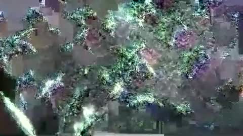 Snapshot of hp58649blabla chatting on 09-17-25, 01:07 hp58649blabla online show from 09-17-25, 01:07