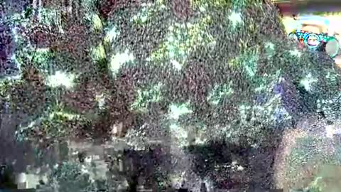 Snapshot of hp58649blabla chatting on 09-24-25, 07:55 hp58649blabla online show from 09-24-25, 07:55