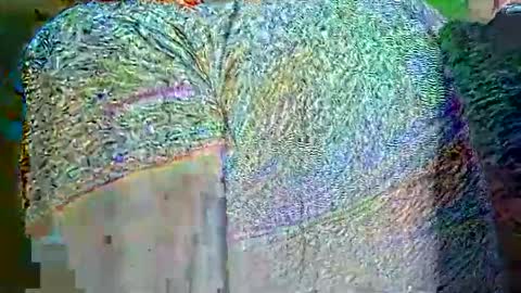 Snapshot of hp58649blabla chatting on 09-25-25, 09:02 hp58649blabla online show from 09-25-25, 09:02