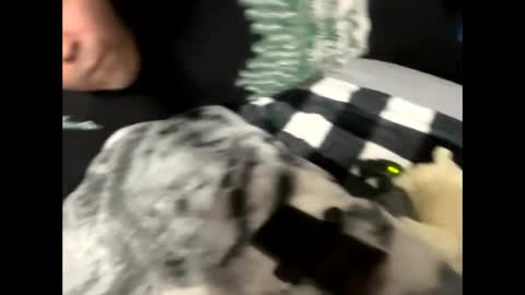 Snapshot of htfsb chatting on 02-15-26, 01:57 htfsb online show from 02-15-26, 01:57