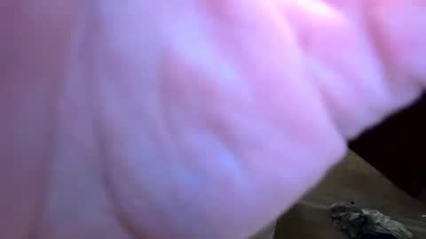 htwnswangn9 online show from 04-01-26, 03:29