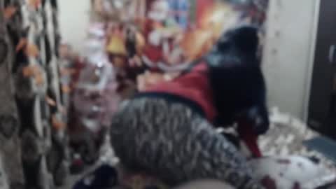 hugeassdevil online show from 01-23-25, 05:42