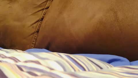 BigFTMdick online show from 12-09-24, 06:01