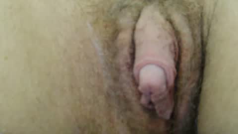 BigFTMdick online show from 12-09-24, 08:33