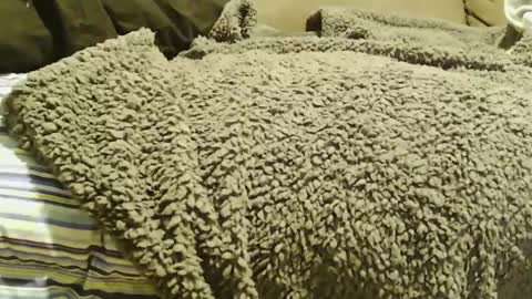 BigFTMdick online show from 12-22-24, 07:11