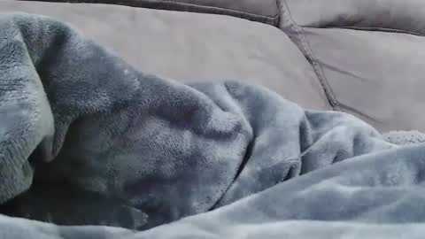 BigFTMdick online show from 12-24-24, 10:28