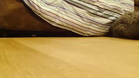 BigFTMdick online show from 12-26-24, 02:12